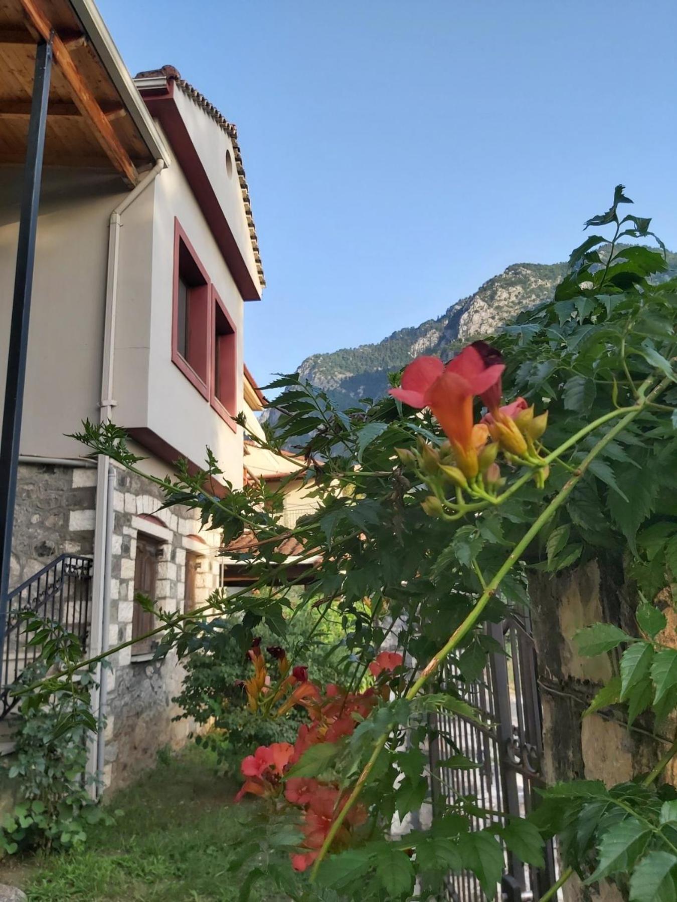 Potamolithos * Konitsa