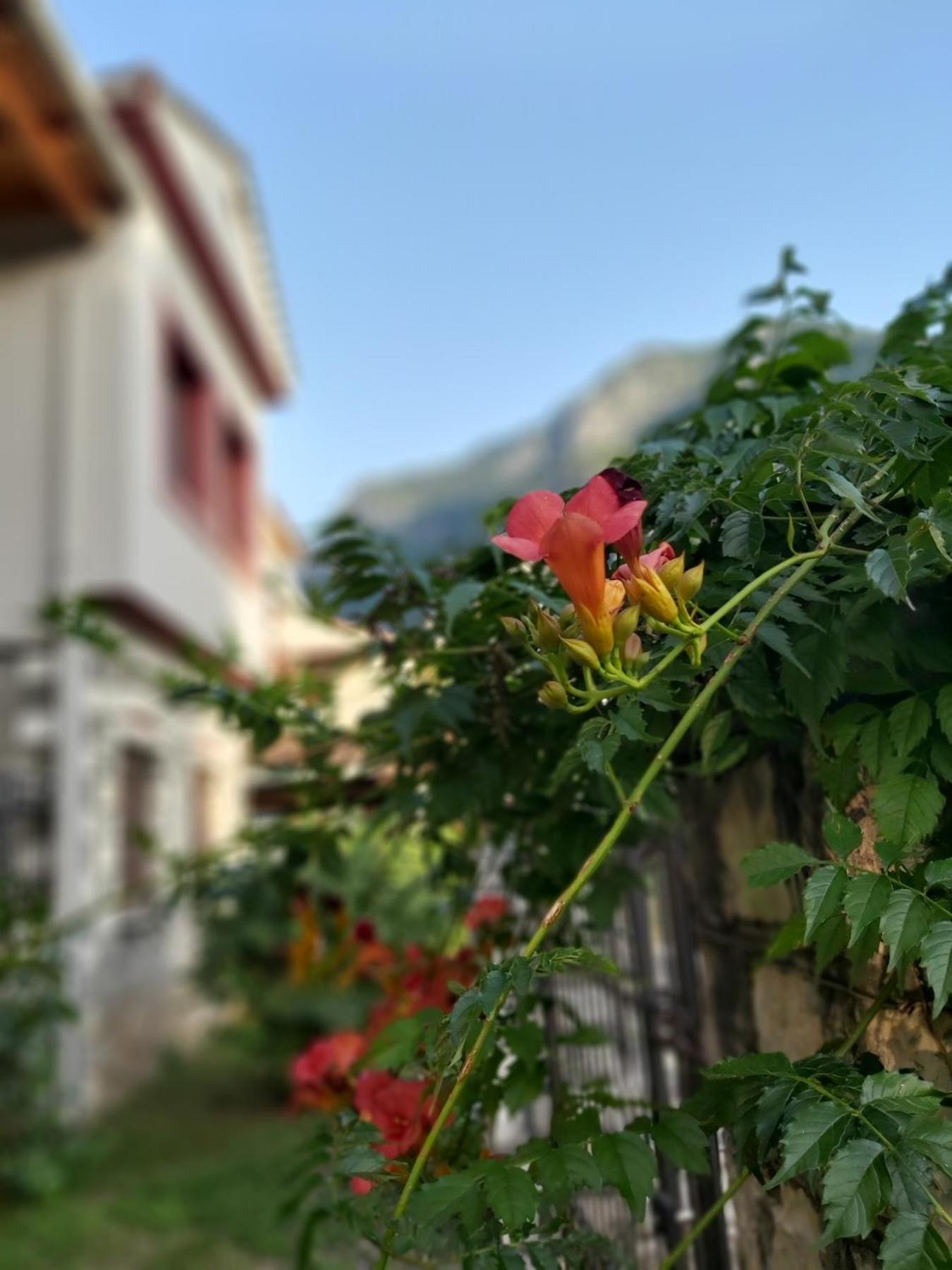 Appartement Potamolithos